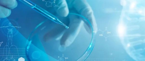 Ebiomedicine | 通过稀疏可解释网络发现药物作用机制