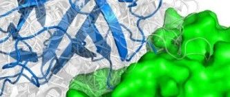Drug Discov. Today | 生物信息学资源支持蛋白质-蛋白质相互作用的药物靶标发现