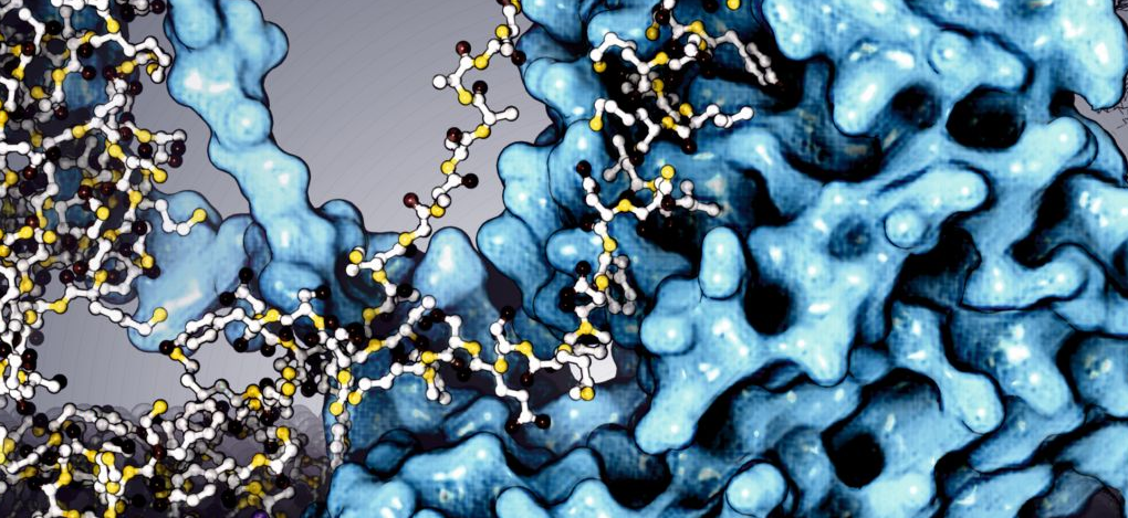 Advanced Science | 多模态蛋白表征方法及其迁移性量化