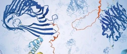 Science | 在“放松”序列空间中实现可扩展的蛋白设计