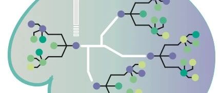 Science | EVOLVEpro：结合蛋白质语言模型与少样本主动学习的高效 in silico 定向进化框架