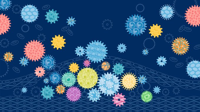 Nat. Biotechnol.| BioCypher推动生物医学知识表征大一统