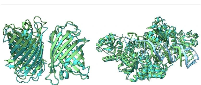Boltz-1：让生物分子交互建模更普及