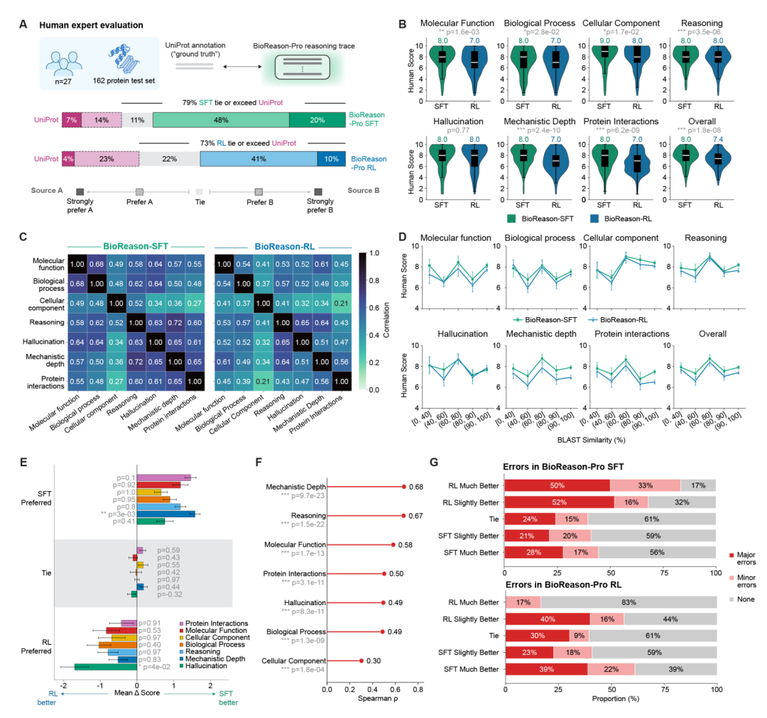 人类专家评估。（A）配对偏好比较，SFT 在 79% 的案例中不低于 UniProt。（B）七个评分维度的小提琴图。（D）专家评分在不同序列相似性区间上保持稳定，无退化趋势。