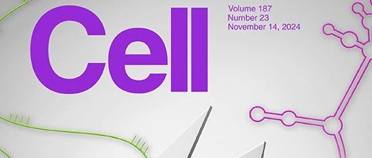 Cell | 蛋白质-蛋白质相互作用的发现及其在健康与疾病中的重要意义
