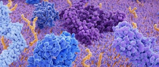 Cell Systems | Genesis探索“暗物质“蛋白折叠，折叠蛋白成功率结果鼓舞人心
