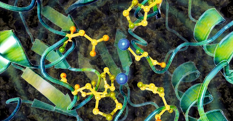Nat. Commun. | 结合分子结构与生物活性的生成化学语言模型