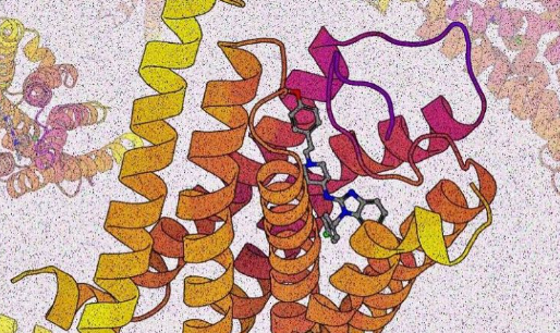 Science | 蛋白质设计遇见生物安全