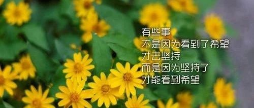 探究分段场景下vlib_buf在收发包的处理