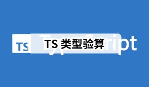 TS 中的类型验算,高级通用 API 实现