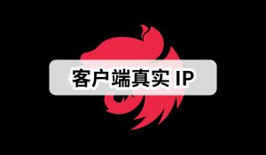 Nest.js 实战 (十四)：如何获取客户端真实 IP