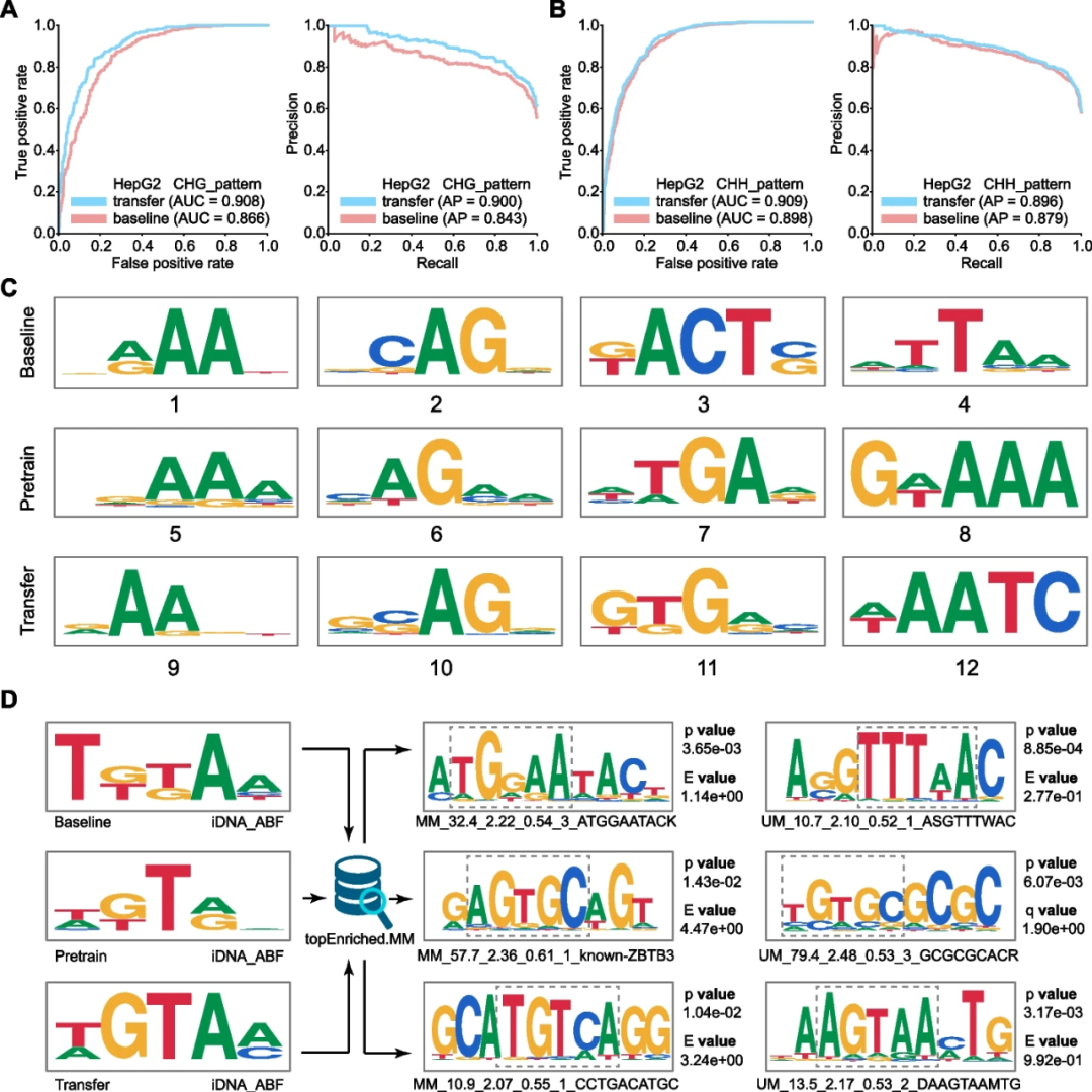 Genome Biology | IDNA-ABF: 基于多尺度深度学习的生物序列与功能语义模型实现DNA甲基化可解释性预测-腾讯云开发者社区-腾讯云