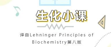 生化小课 | 蛋白质的功能取决于其氨基酸序列