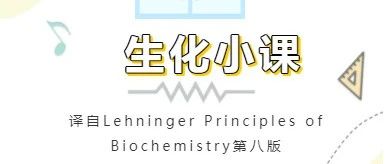 生化小课 | 利用蛋白质化学的方法研究蛋白质结构
