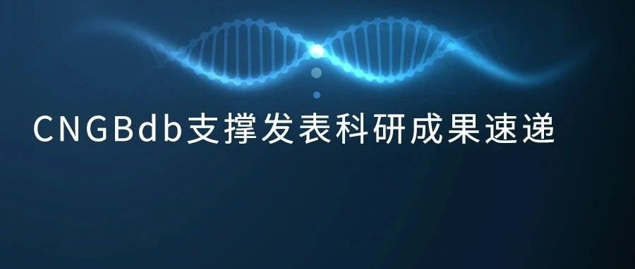 Cell重磅：迄今最完整灵长类脑细胞图谱发布！