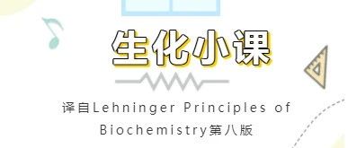 生化小课 |  一些蛋白质含有氨基酸以外的化学基团（含多肽和蛋白质小结）