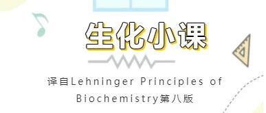 生化小课 | 反应速率和平衡具有精确的热力学定义