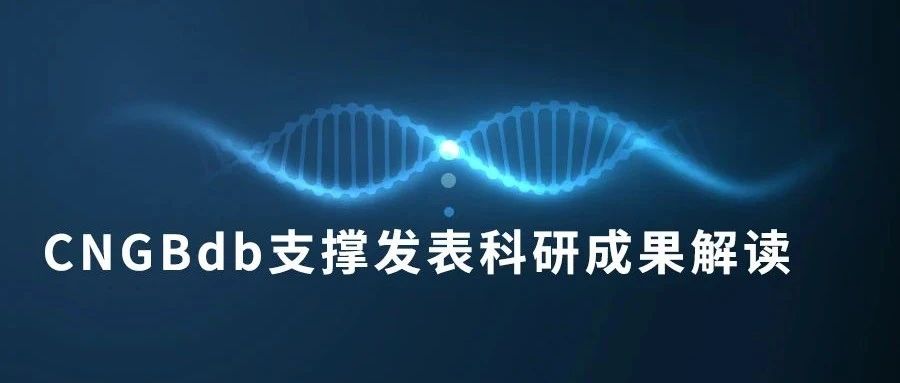 Cell Reports Medicine新成果为直肠癌治疗提供重要线索
