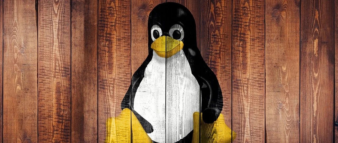Linux下内存问题排查利器