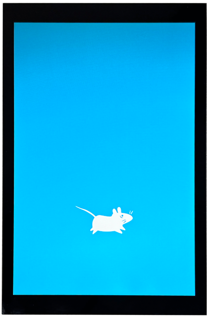 图 11 MIPI LCD显示效果