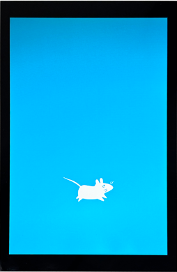 图 4 MIPI LCD显示效果