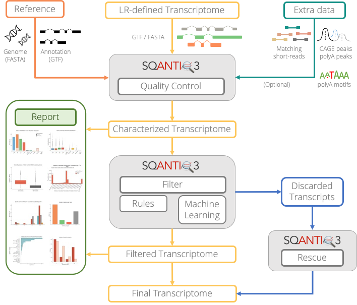 图2. SQANTI 3的工作流程