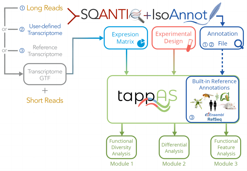 图1.Functional IsoTranscriptomics， FIT流程