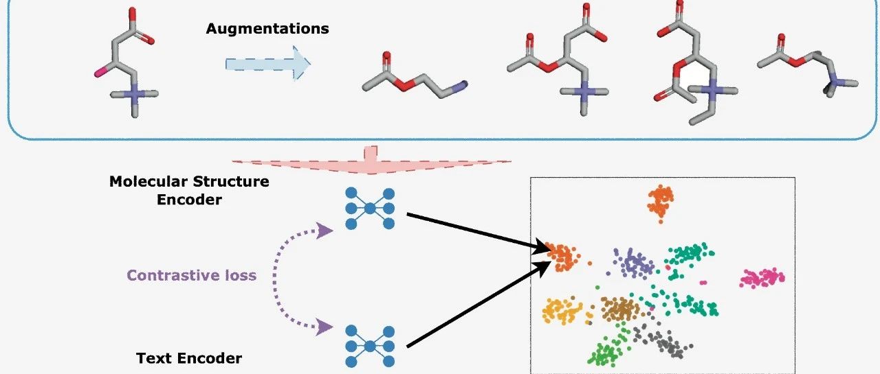 耶鲁大学提出分子语言模型MolLM，结合生物医学文本与分子的二维和三维表示