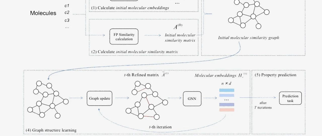 精准预测分子性质，复旦大学周水庚团队提出基于图结构学习的分子图神经网络