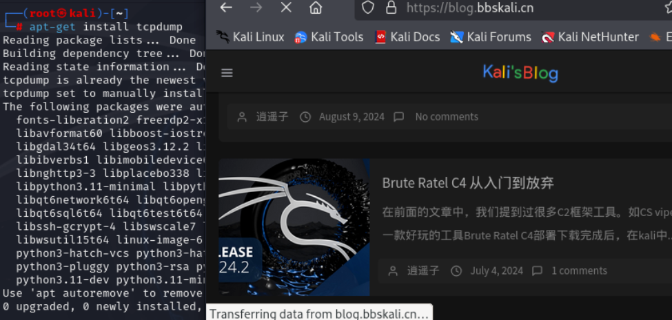 数据抓包神器 Tcpdump 入坑指南