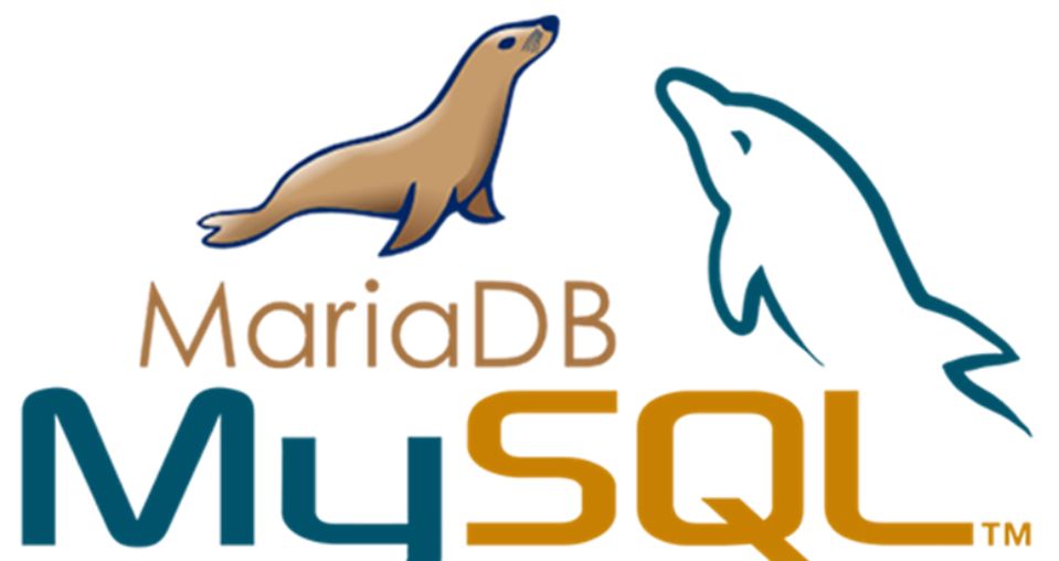 Kali中MariaDB MySQL开启IPV6访问