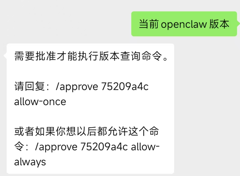 每条指令需要批准
