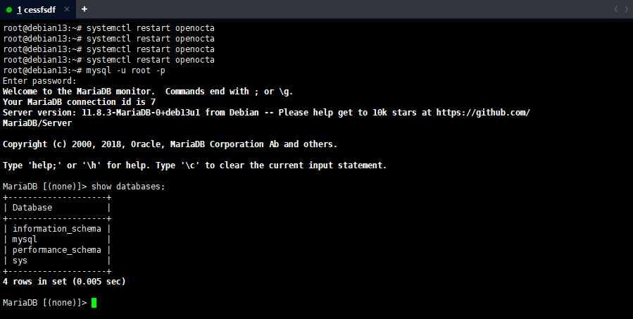 本地数据库验证