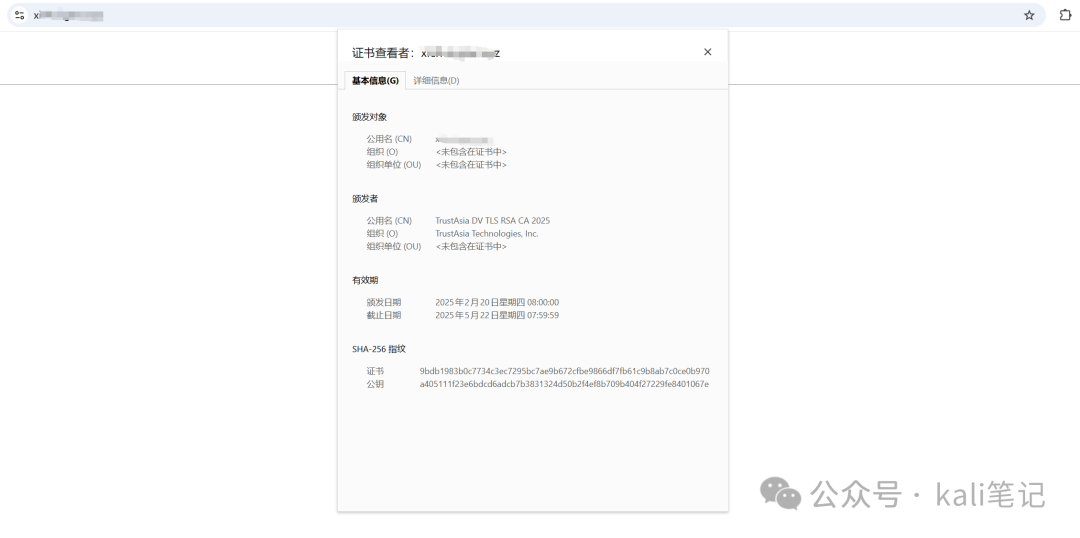 访问效果