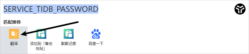 复制文本进行翻译