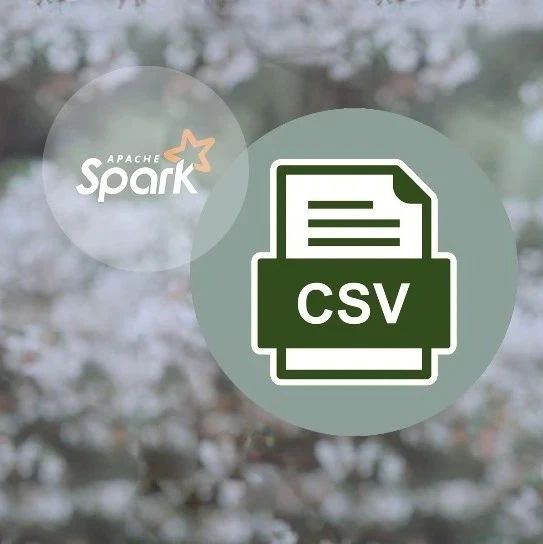 PySpark 读写 CSV 文件到 DataFrame