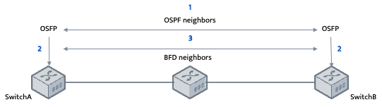 当 OSPF 和 BFD 一起使用时，BFD会话建立