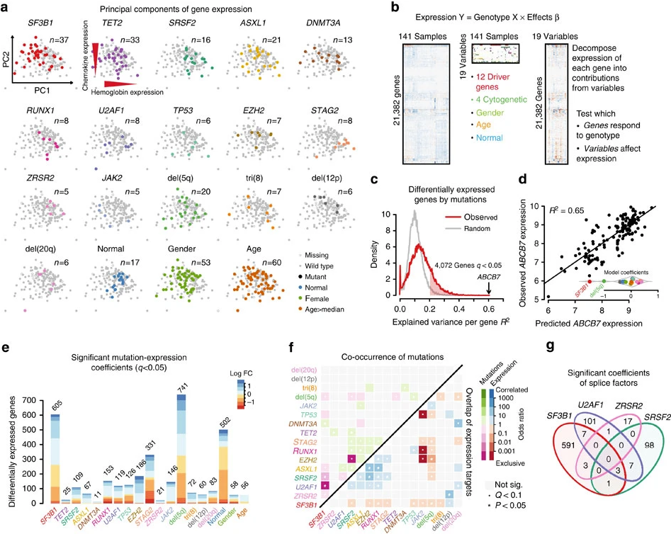 来自Combining gene mutation with gene expression data improves outcome prediction in myelodysplastic syndromes-Figure 1