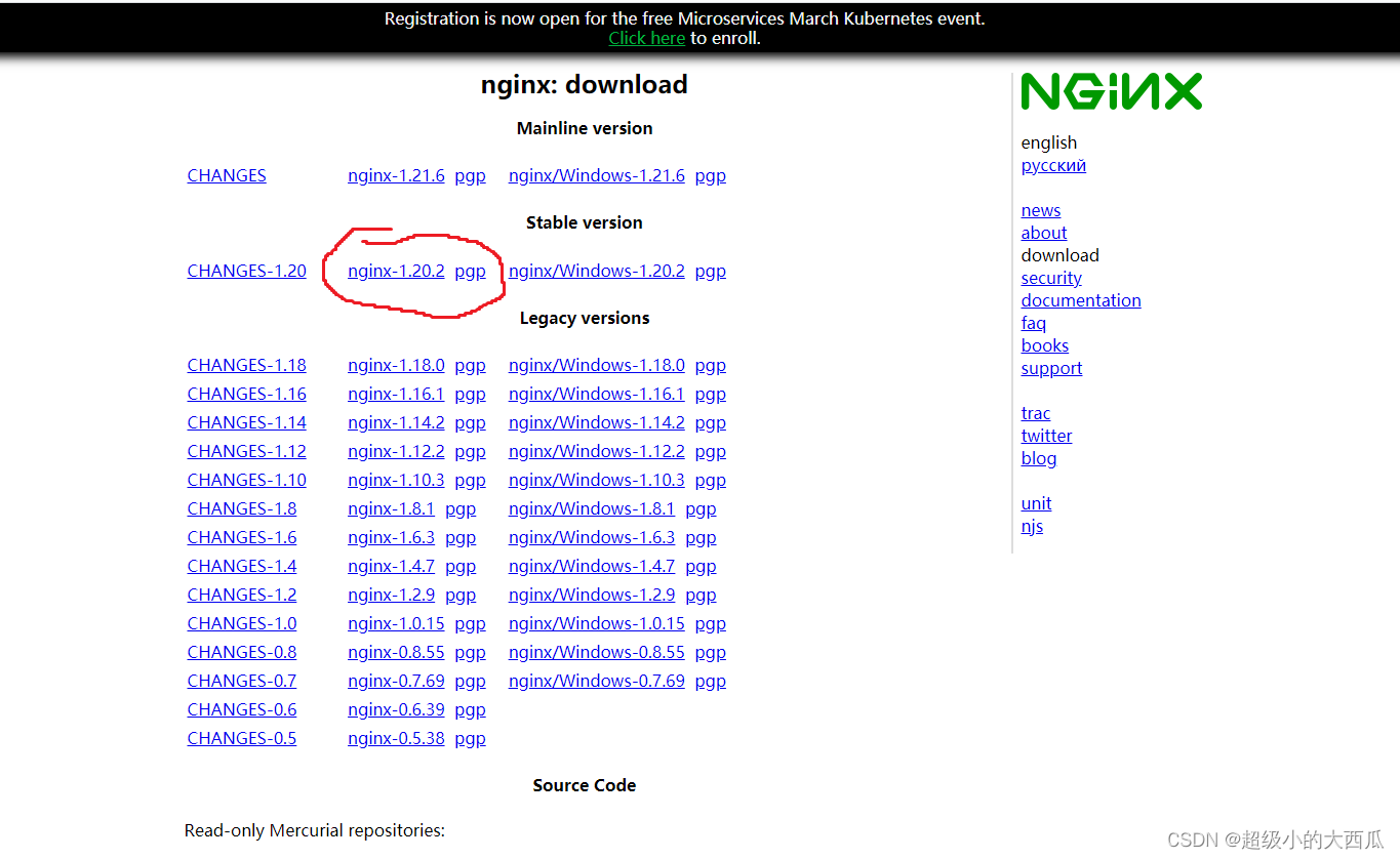 Centos 8 安装 nginx