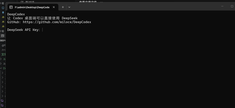 图4：DeepCodex_API_Key输入提示
