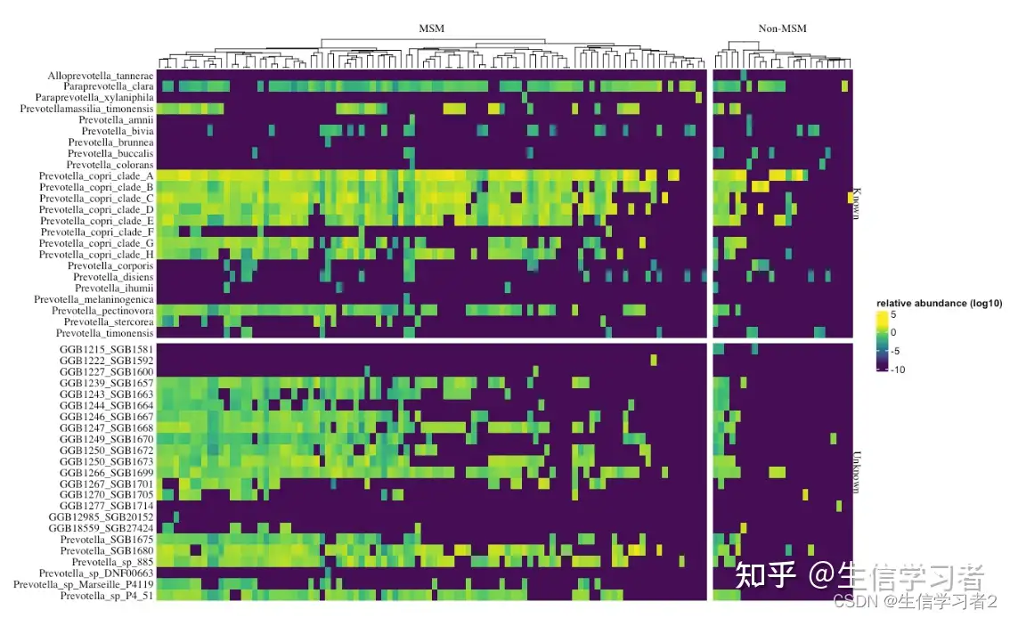 文章MSM_metagenomics（六）：复杂热图绘制