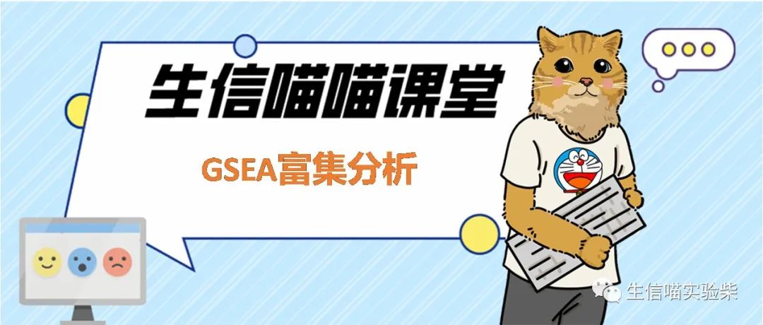 GSEA富集分析