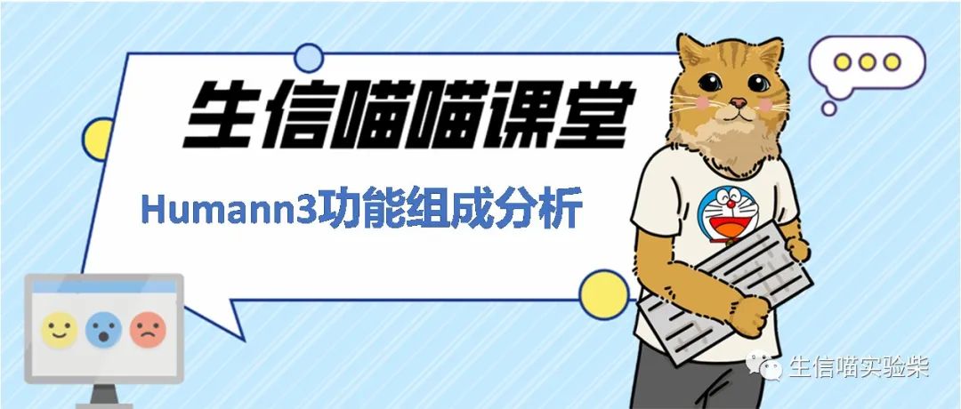 humann3功能组成分析