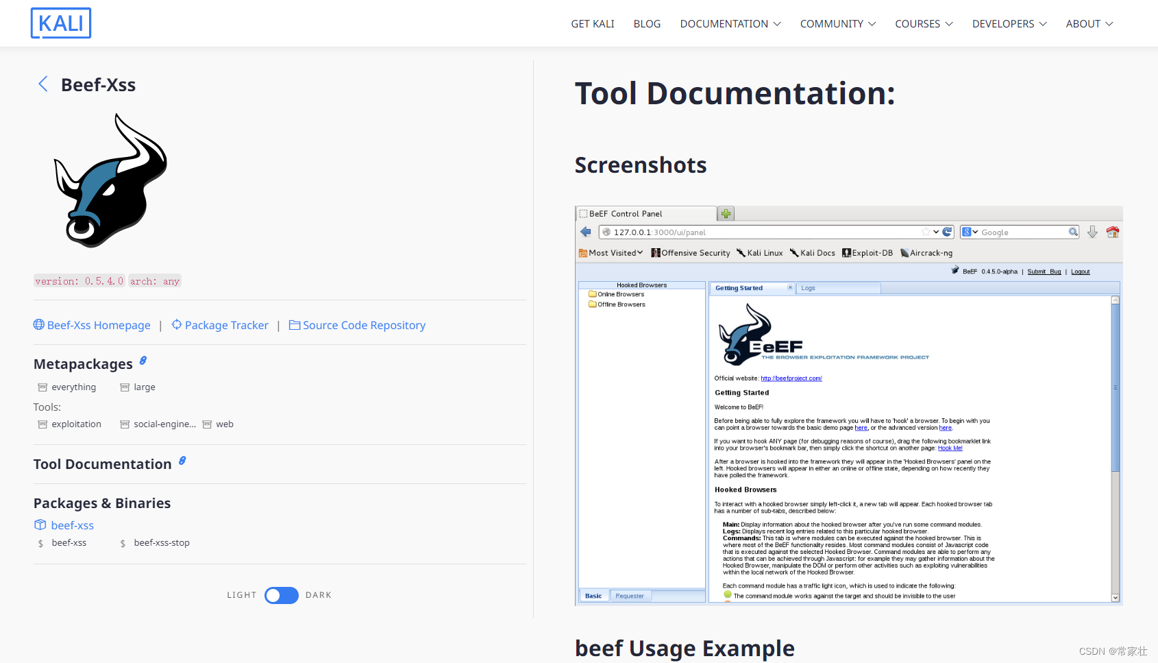 xss-工具-Beef-Xss安装以及使用