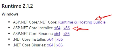 Windows 服务器部署 asp.net core
