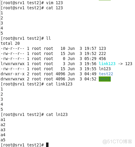 linux常用文件命令_参数说明_74