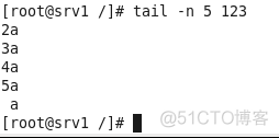 linux常用文件命令_命令_49