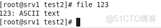 linux常用文件命令_文件名_78