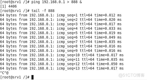 linux常用文件命令_文件名_47