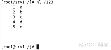 linux常用文件命令_文件名_33